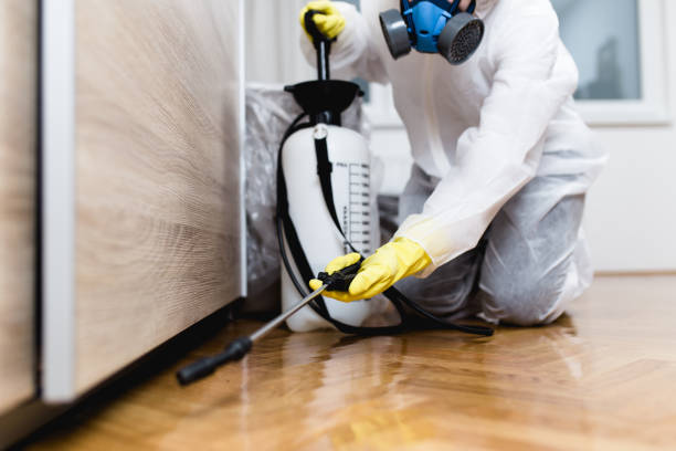 Best Affordable Pest Control Services  in New Waverly, TX