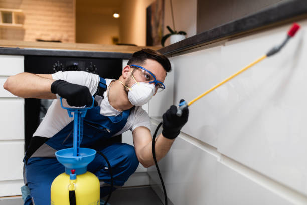 Best Cockroach Control Services  in New Waverly, TX