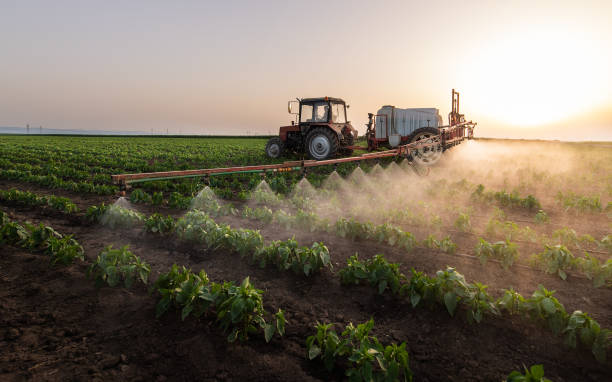 Best Pest Removal Services  in New Waverly, TX