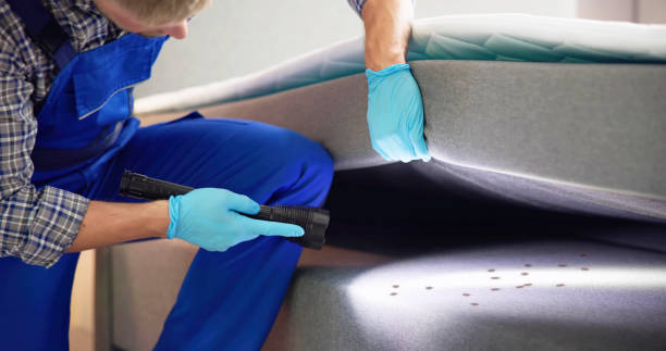 Best Pest Control Near Me in New Waverly, TX